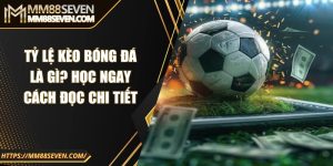 Tỷ lệ kèo bóng đá là gì? Học ngay cách đọc chi tiết